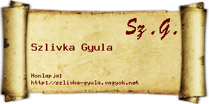 Szlivka Gyula névjegykártya